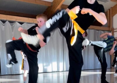 Kung Fu 2
