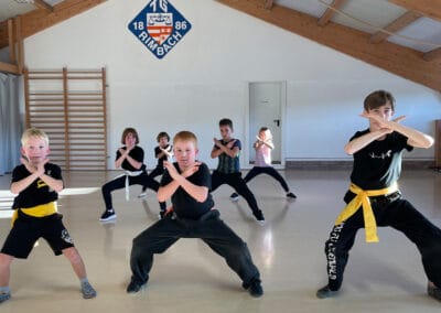 Kung Fu 1