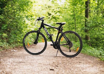 Radsport 2